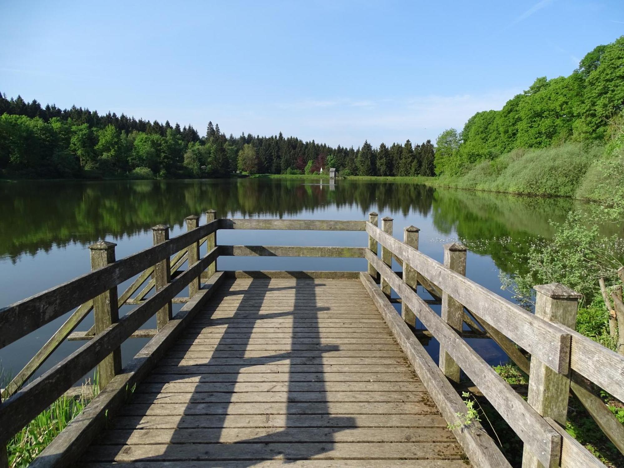 Chill Out Apartment Bergblick Goslar Bagian luar foto