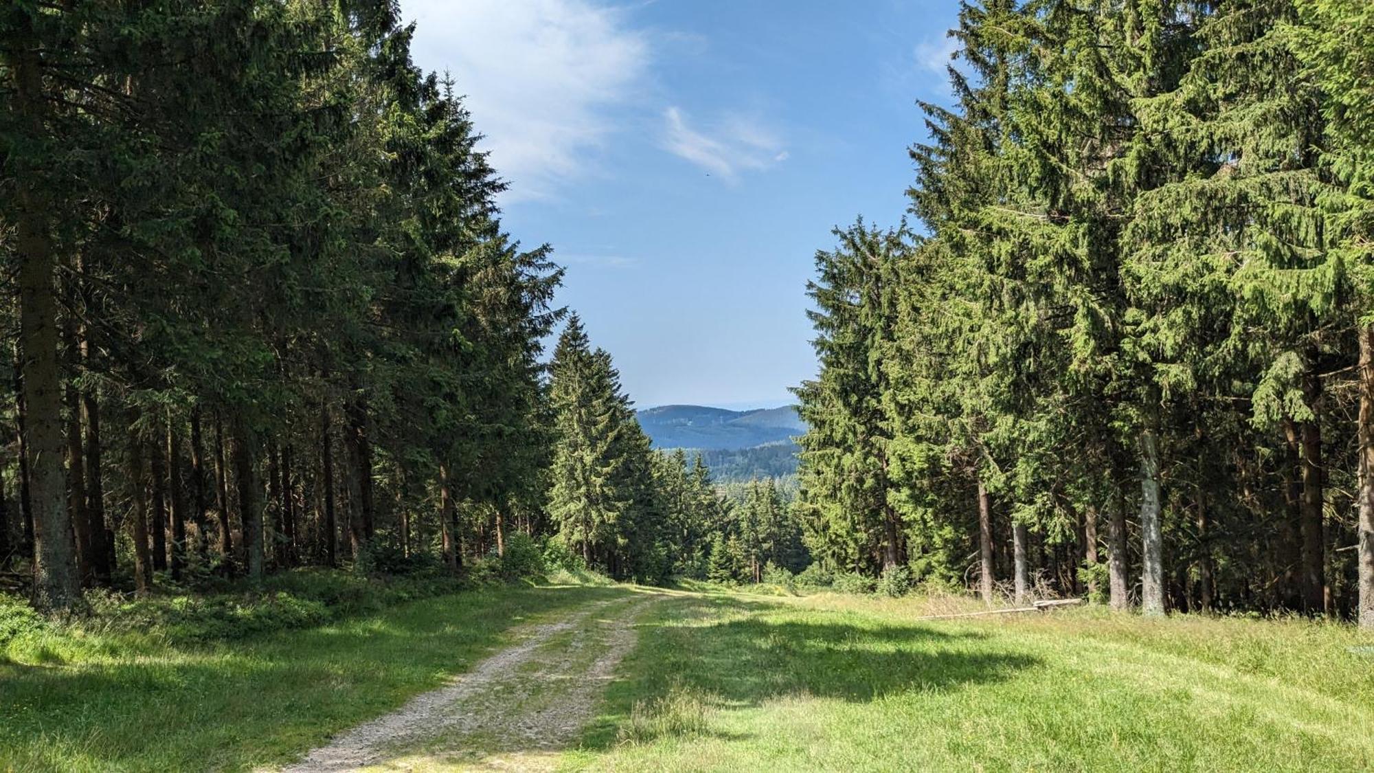 Chill Out Apartment Bergblick Goslar Bagian luar foto